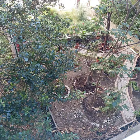 Jase Apartment Split