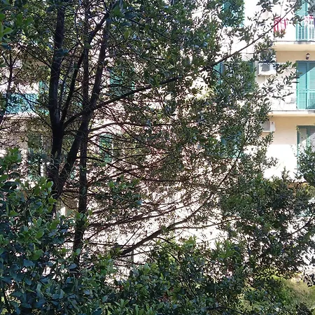 Jase Apartment Split