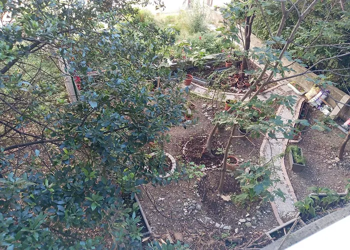 Jase Lejlighed Split