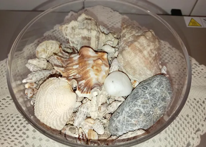 شقة Jase سبليت